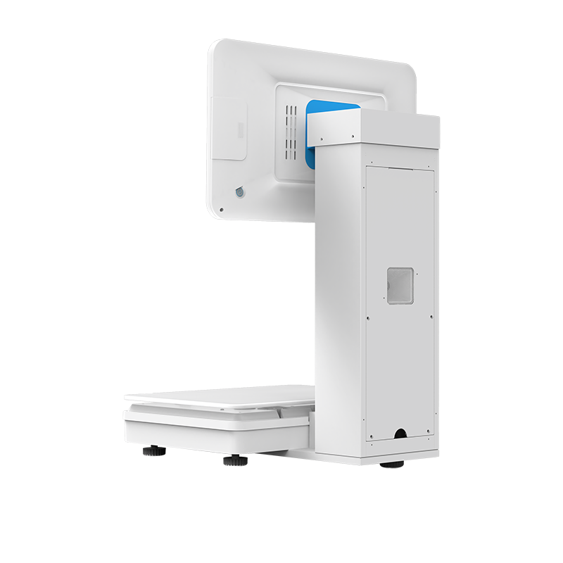 背面左斜45度800x800